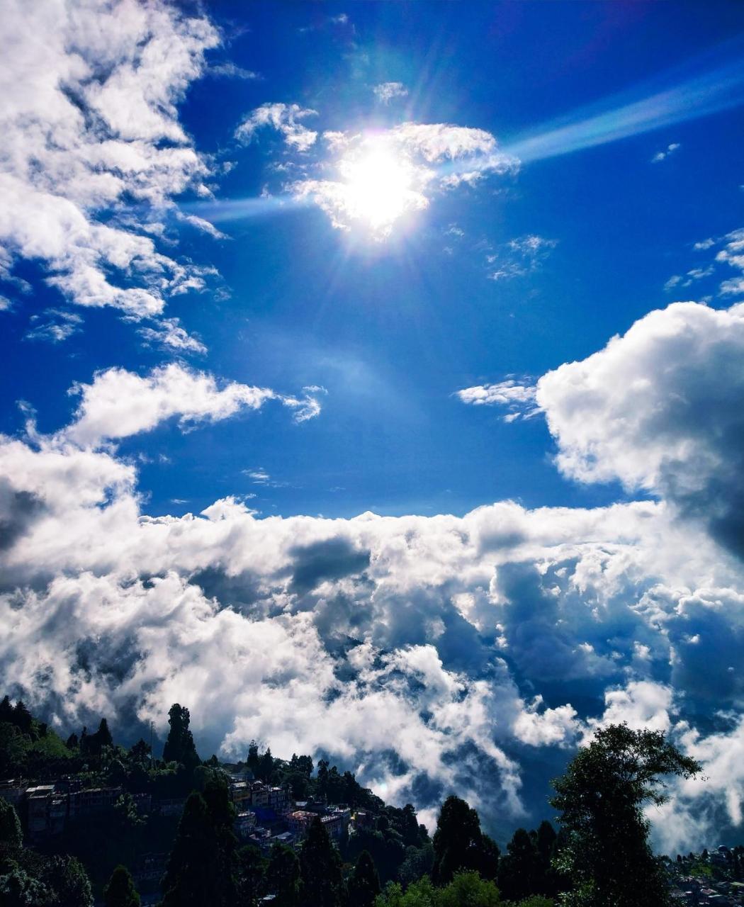 Darjeeling Heights - A Boutique Mountain View * Darjeeling (West Bengal)