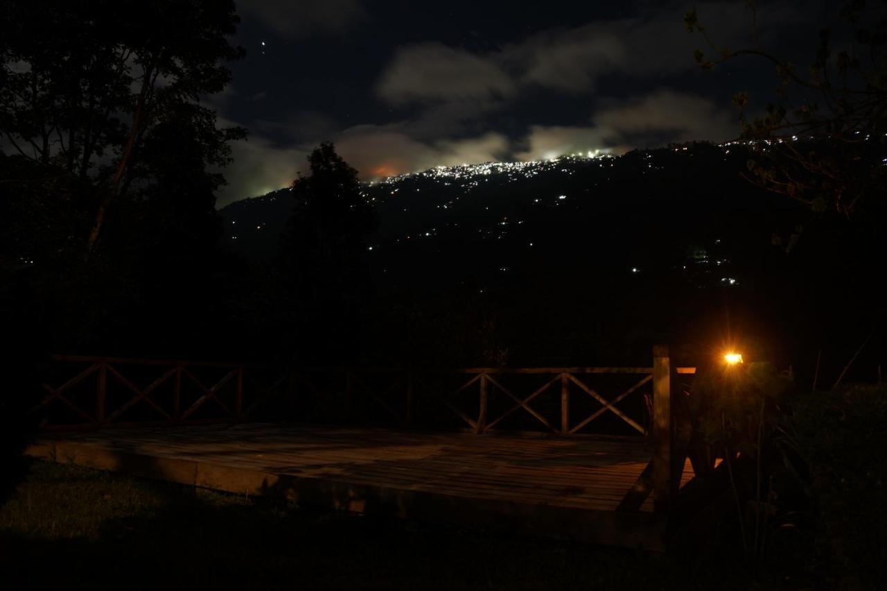 Tathagata Farm * Darjeeling (West Bengal)