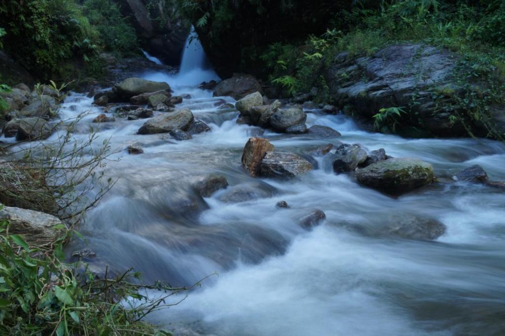 Tathagata Farm Farm stay