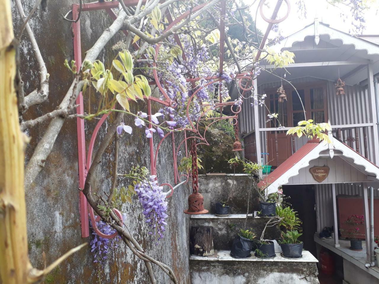 Bed & Breakfast Little Singamari