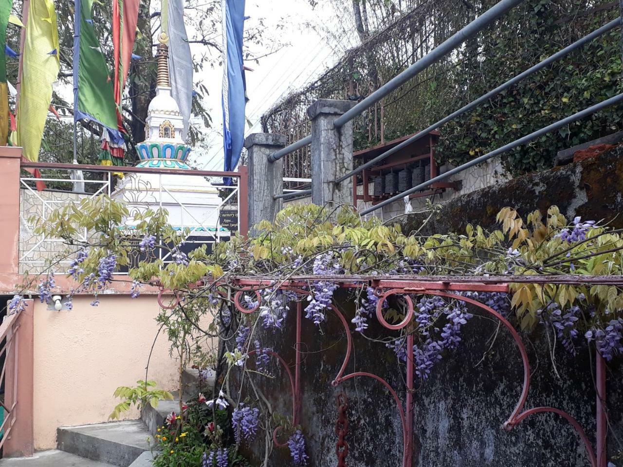 Bed & Breakfast Little Singamari *