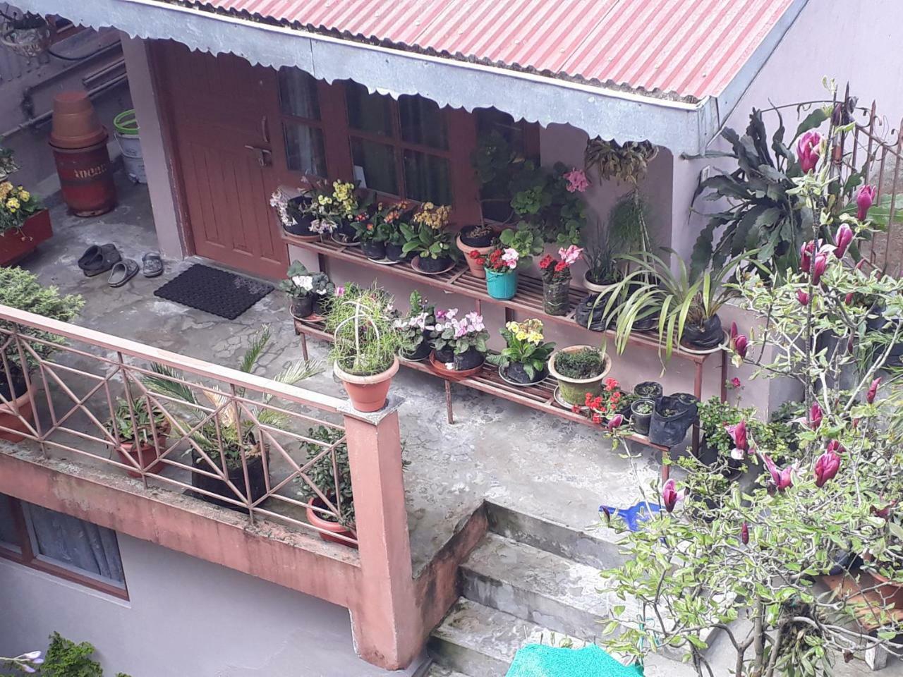 Little Singamari * Darjeeling (West Bengal)