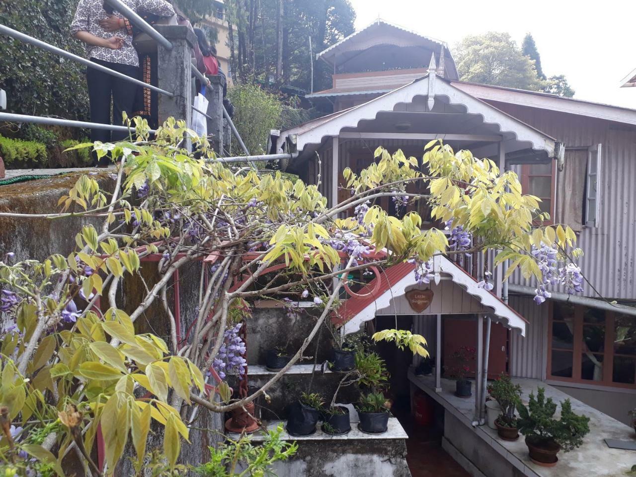 Bed & Breakfast Little Singamari *