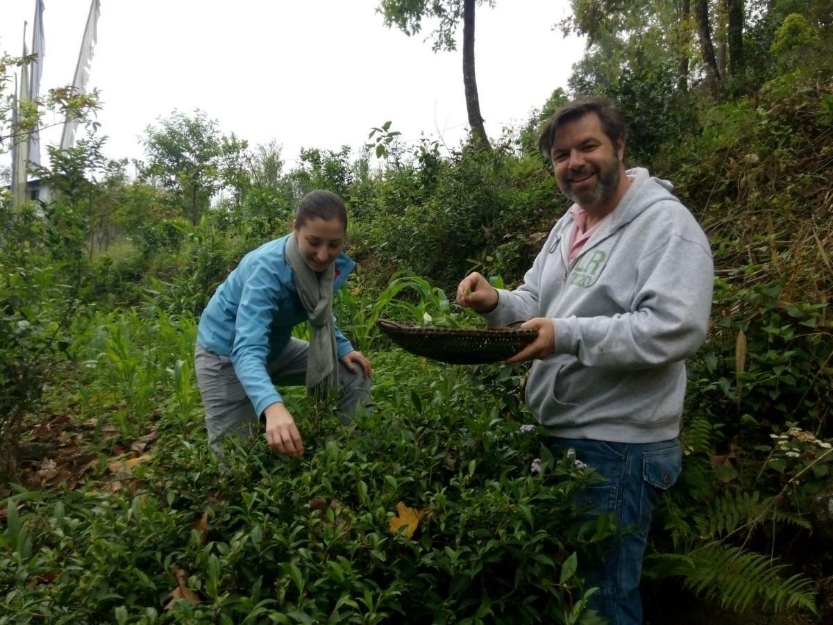 Tathagata Farm Darjeeling (West Bengal)