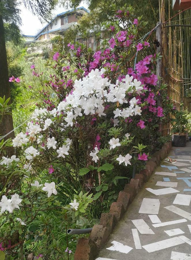 Rambler's Nesting Homestay