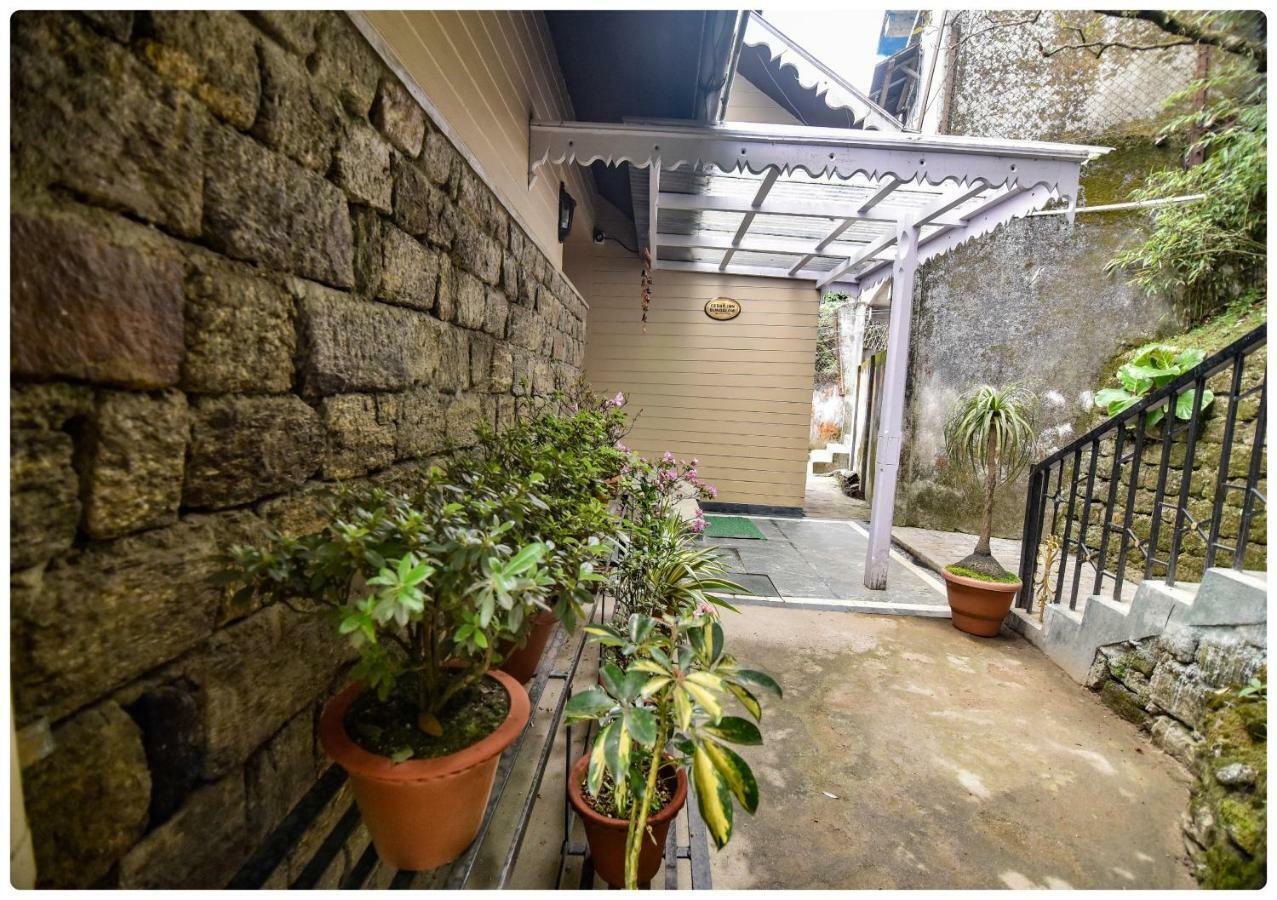 Cedar Hotel 4*