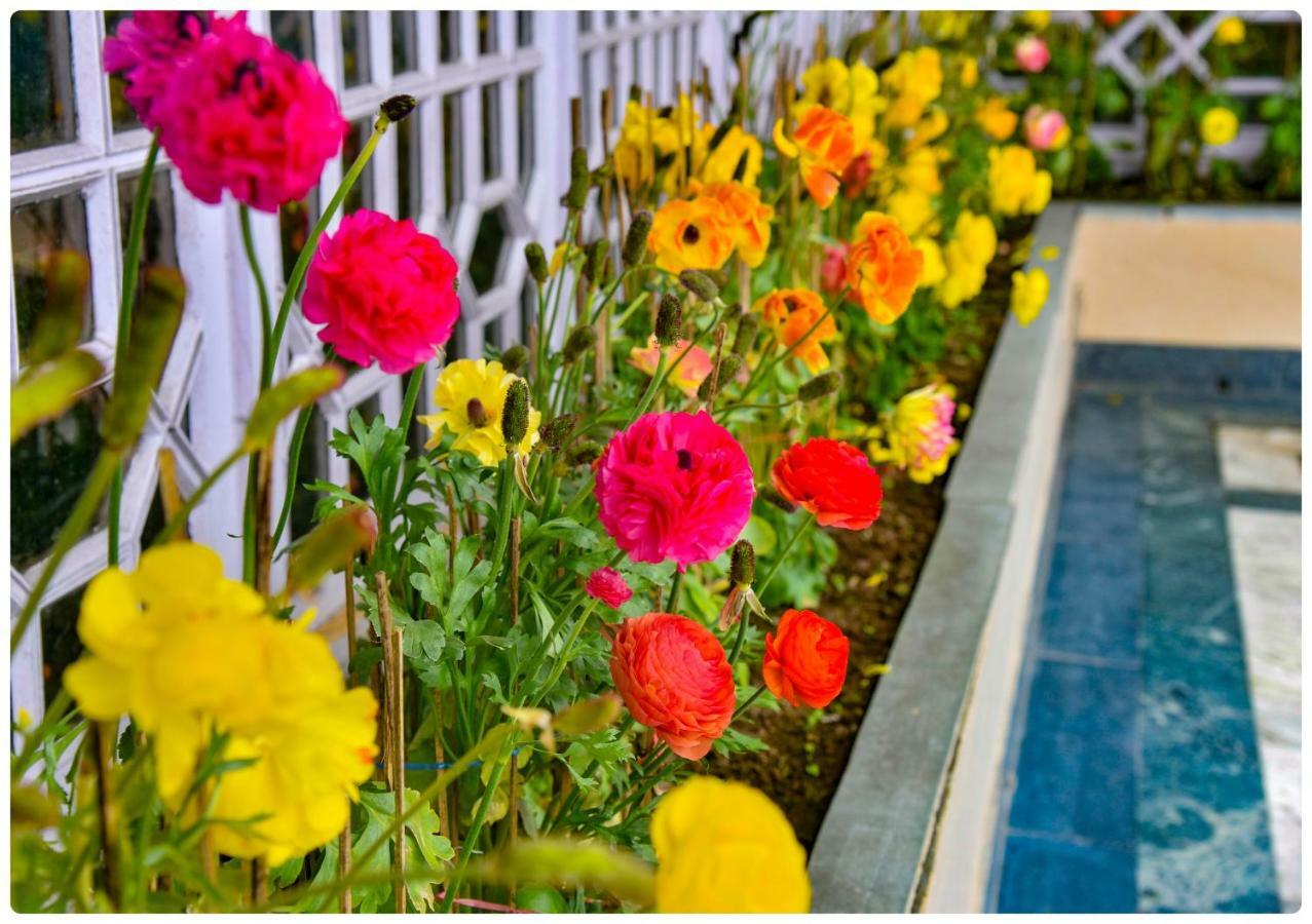 Cedar Hotel Darjeeling (West Bengal)