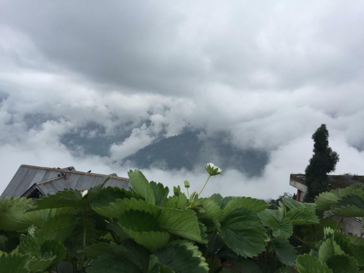 Homestay Benus Darjeeling (West Bengal)