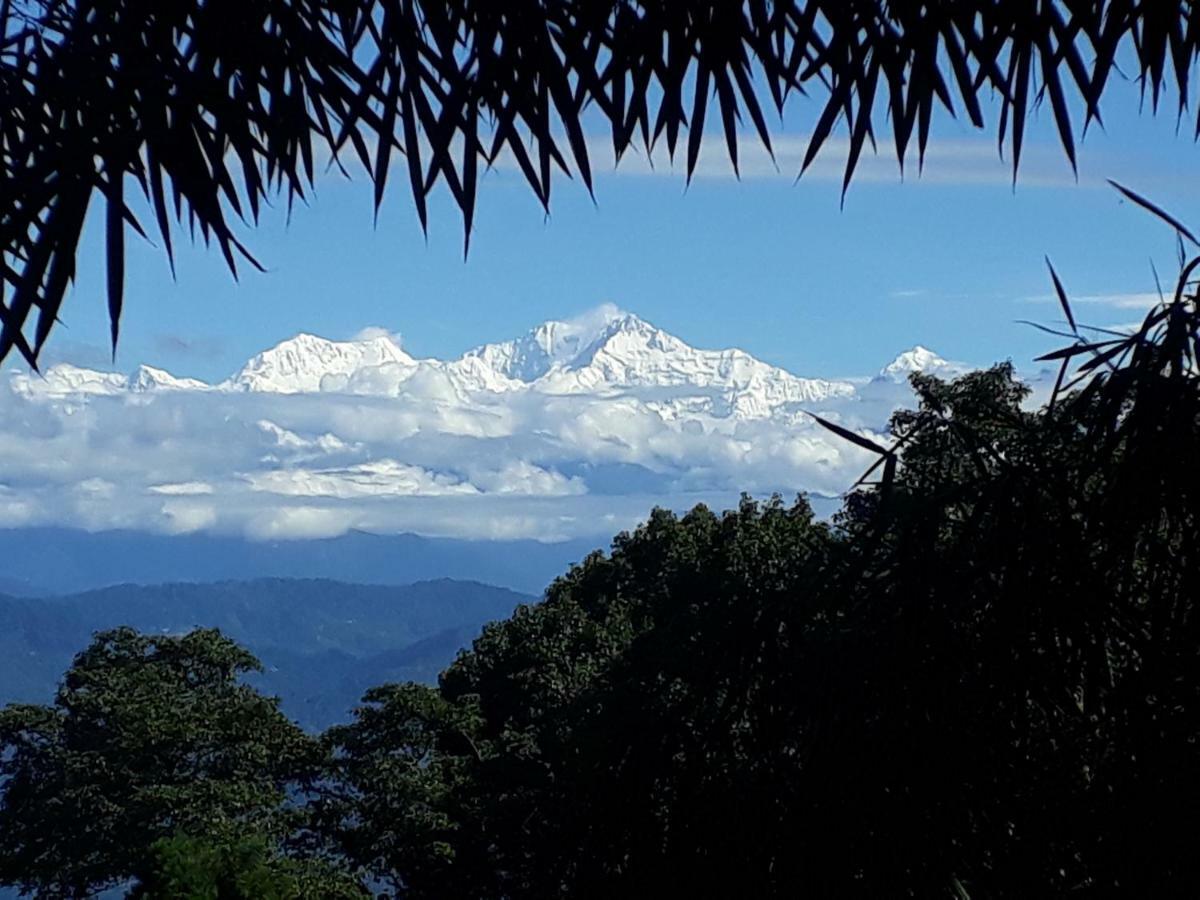Little Singamari Darjeeling (West Bengal)