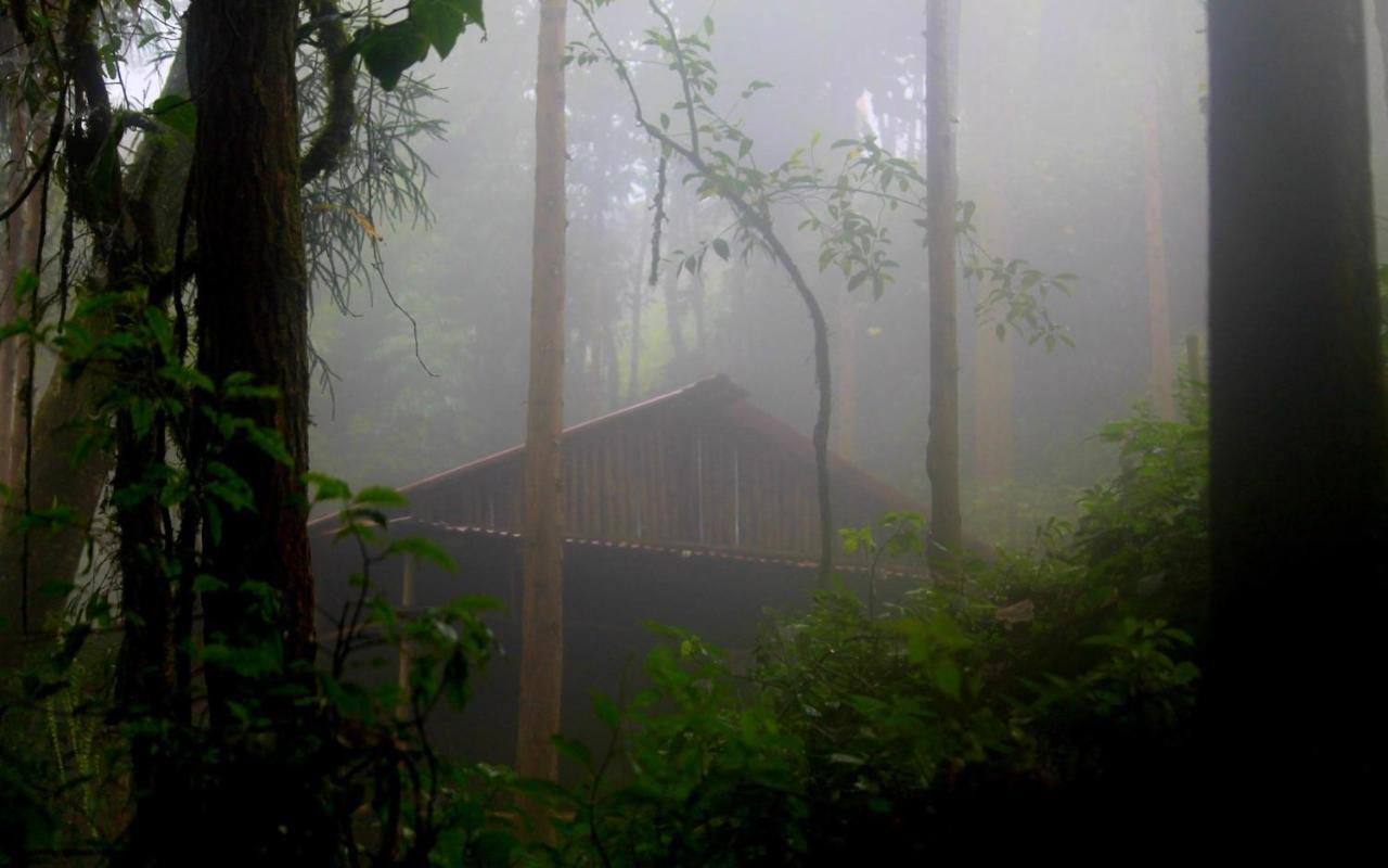 Orion Retreat Guest house *