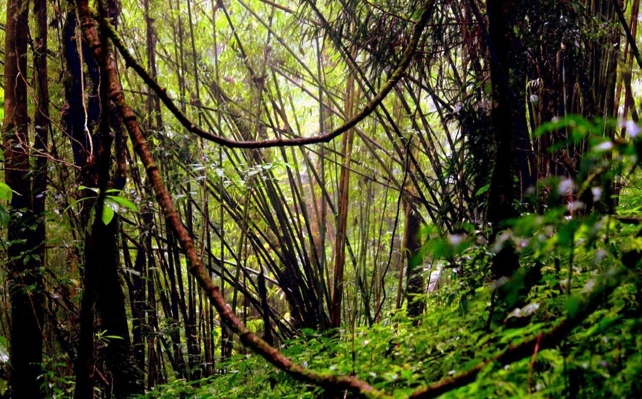 Orion Retreat * Darjeeling (West Bengal)