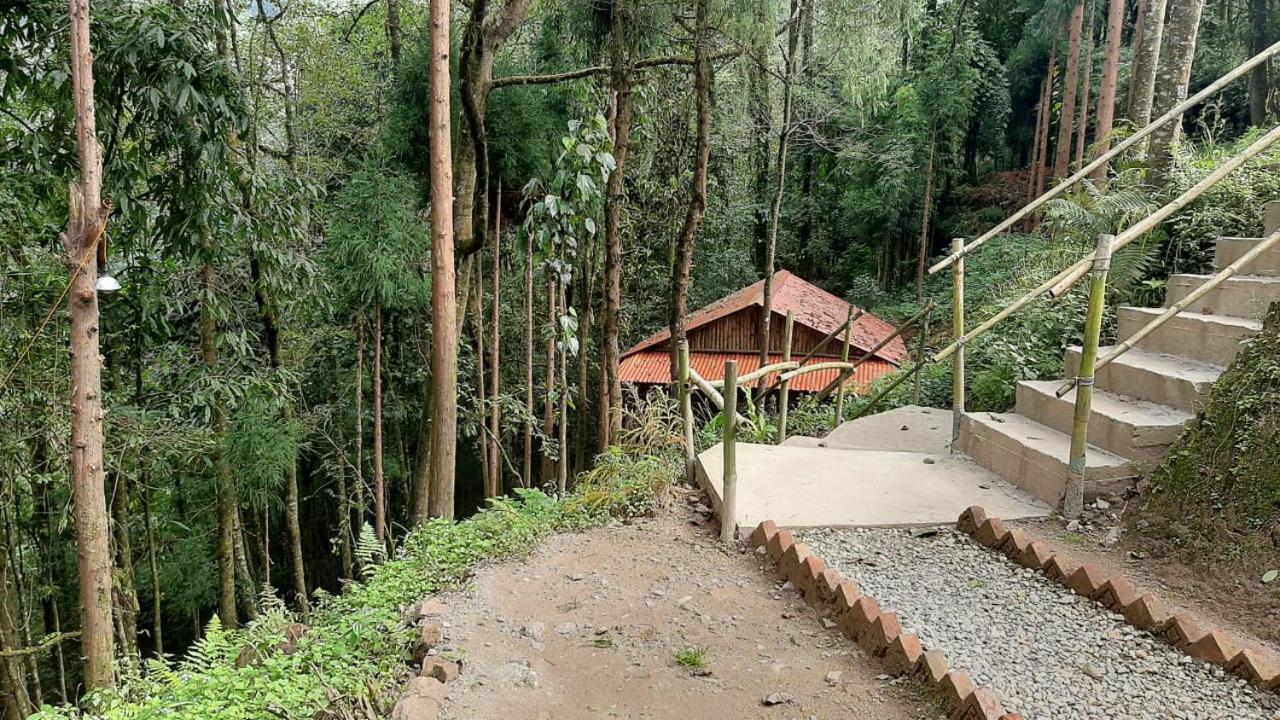 Orion Retreat