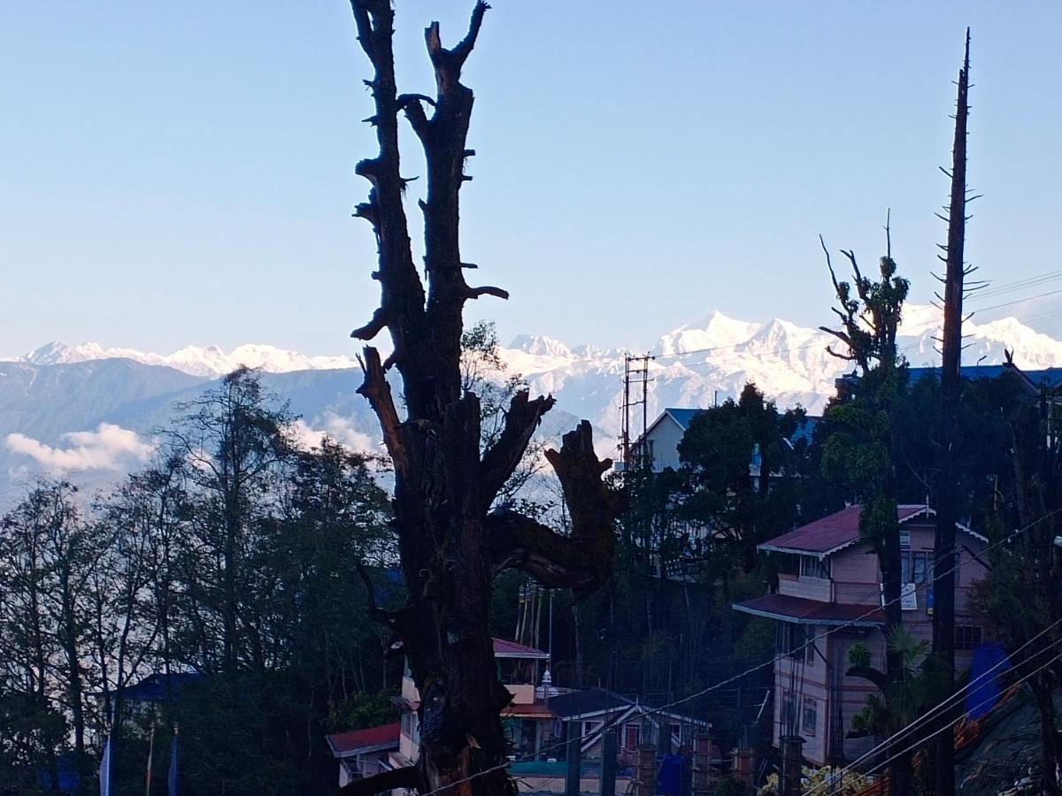 Little Singamari * Darjeeling (West Bengal)
