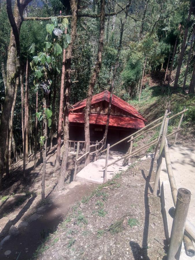 Guest house Orion Retreat *