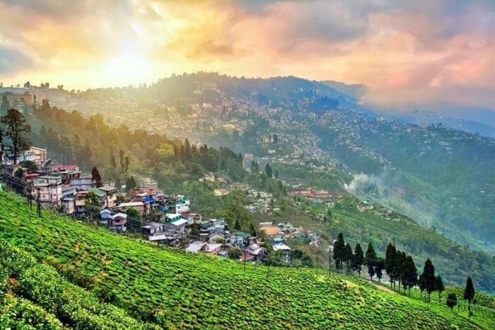 Mahayana, Darjeeling Hotel 3*