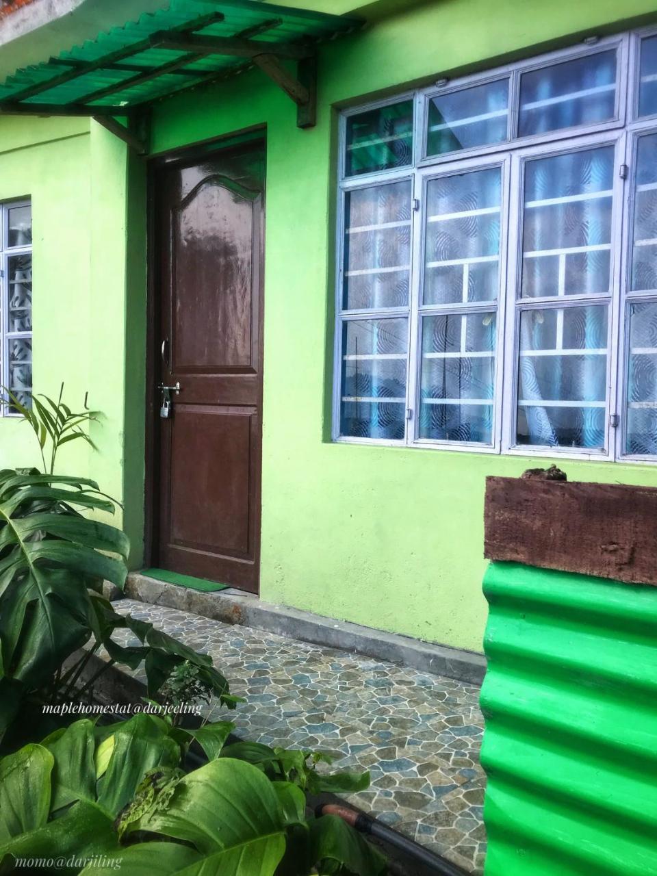 Maple Homestay *